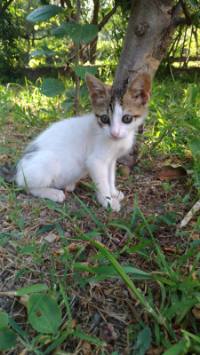 Jerry