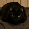 KICHIRO