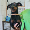 Pablo