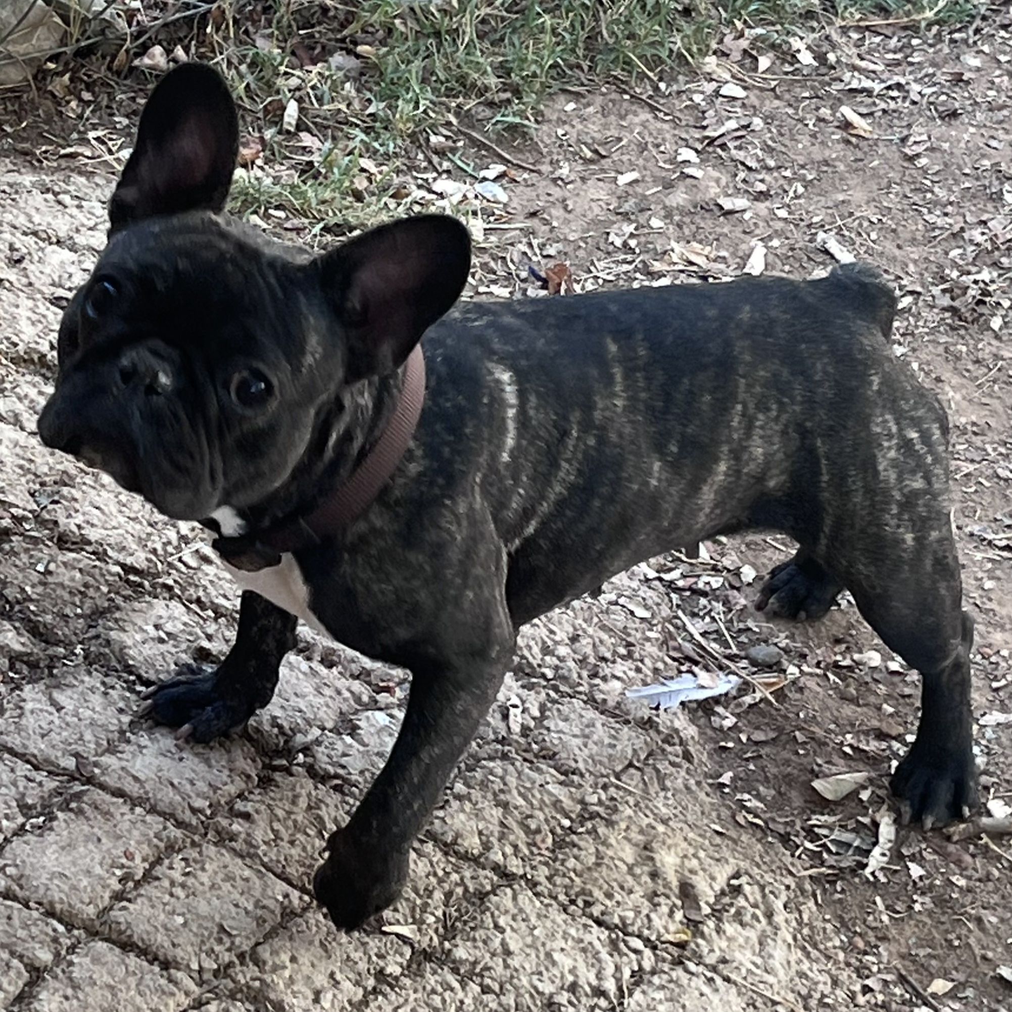 Betty