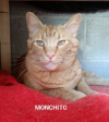 Monchito