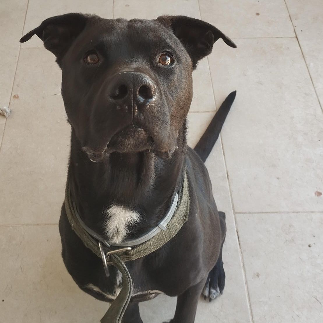 Paco