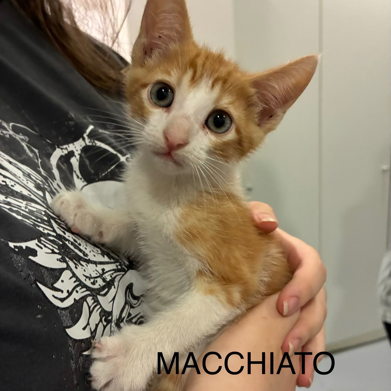Macchiato