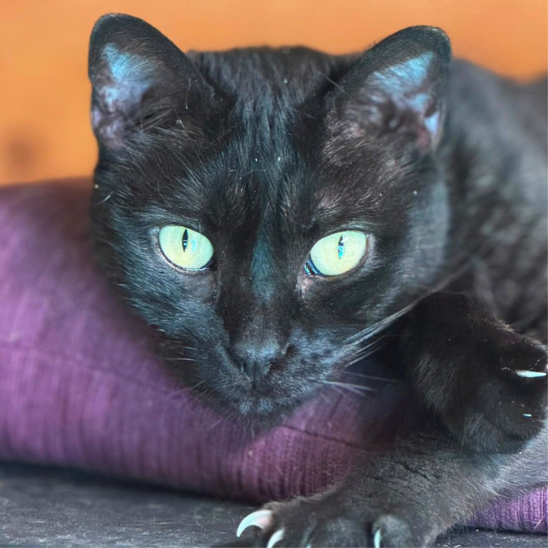 KIRA