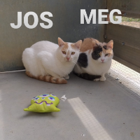 Meg