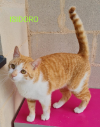 ISIDORO
