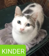 KINDER