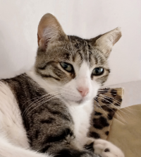 Kahlo