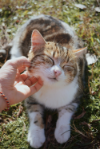 Rubí
