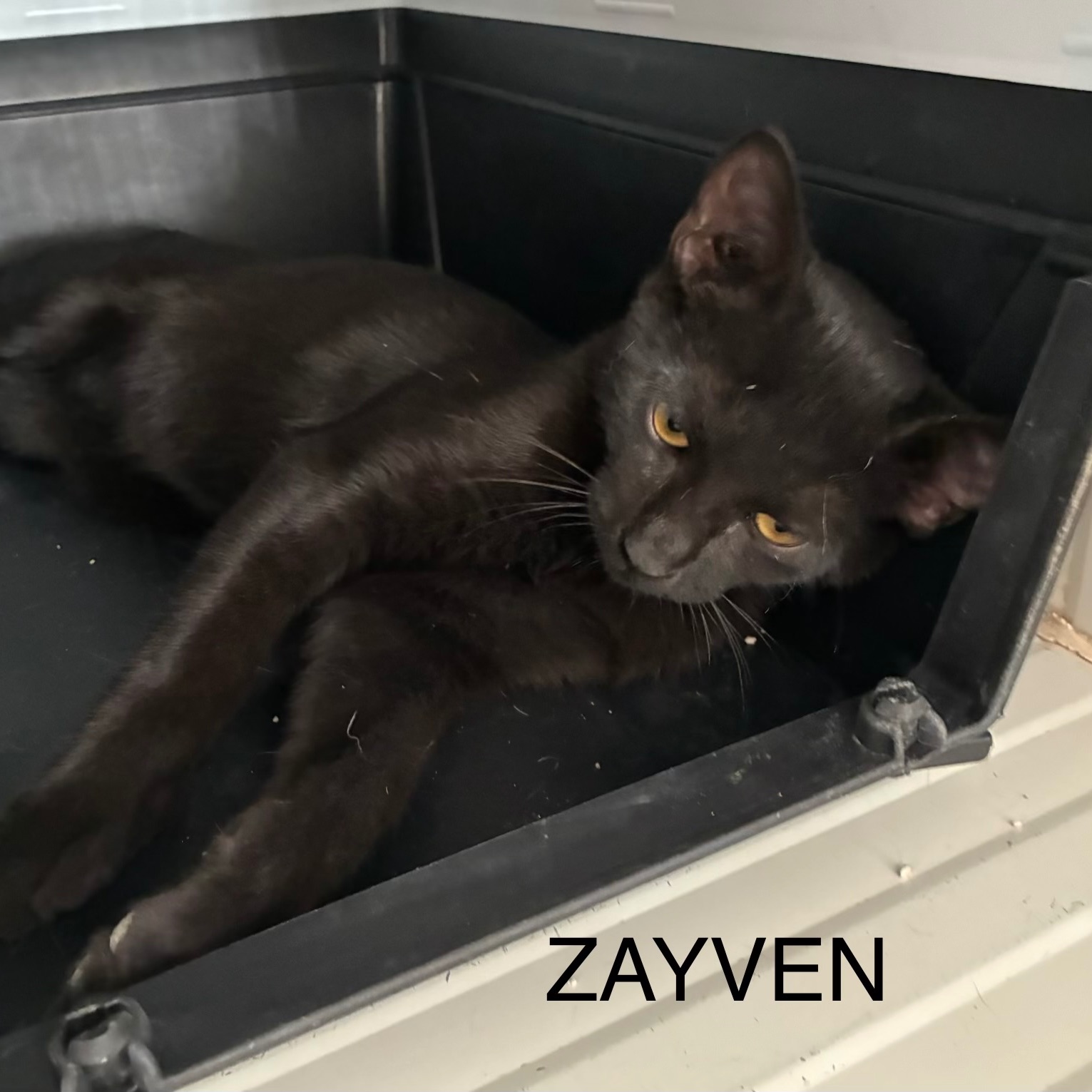 Zayven