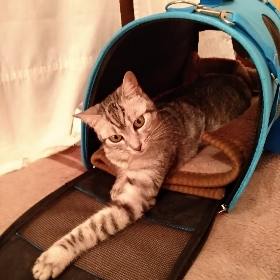 Nina (Duo Nina i Nikita)