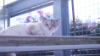 FUFI