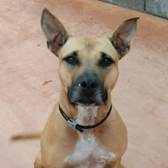 FIONA