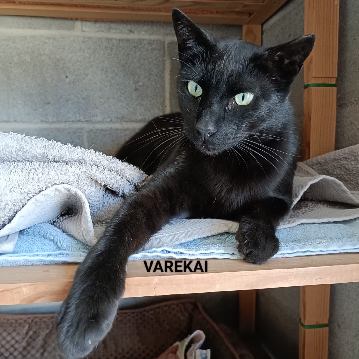 Varekai