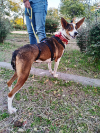 Lola