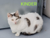 KINDER