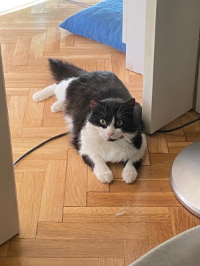 HÉCTOR