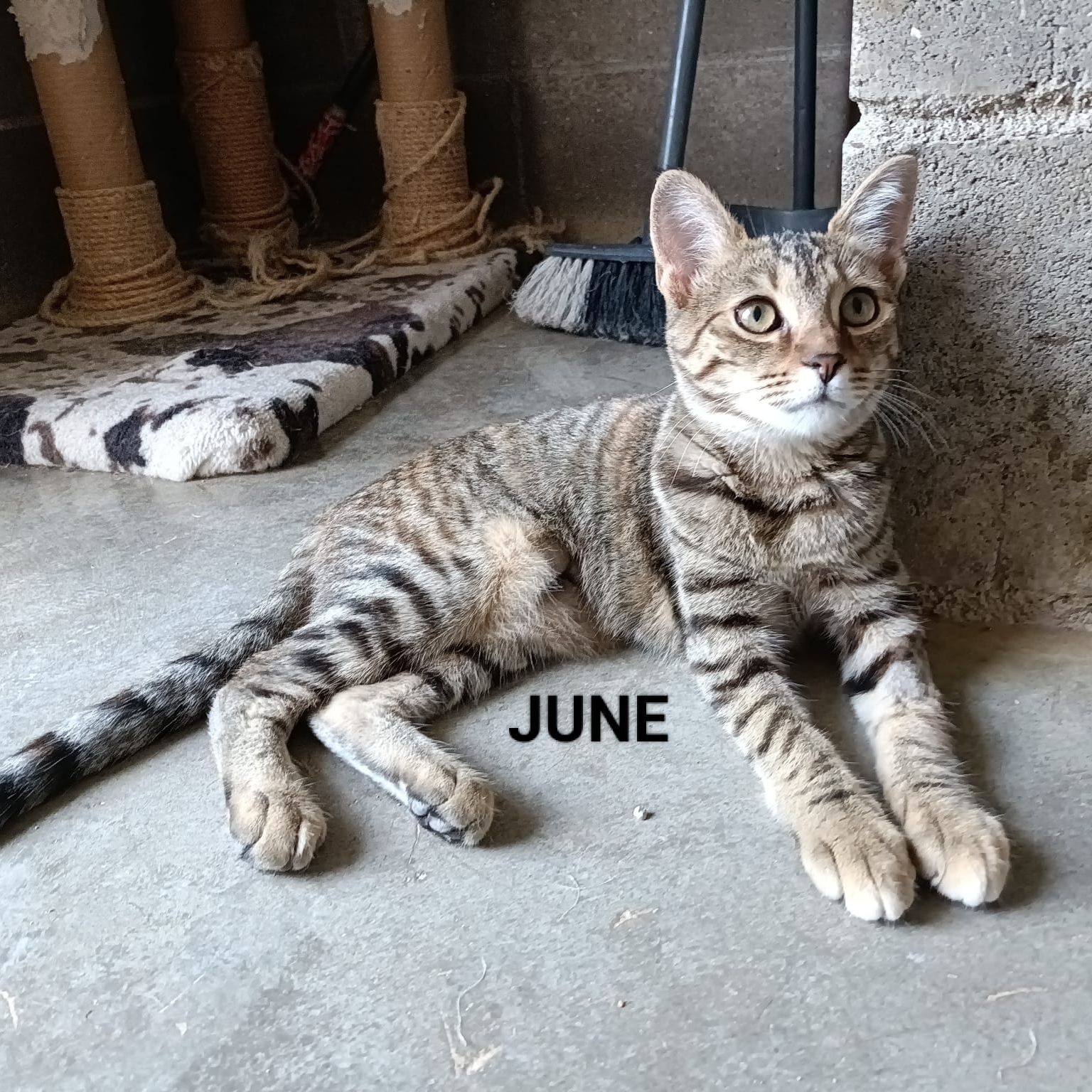 June