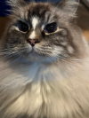 ZEUS