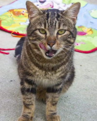 JUANITO