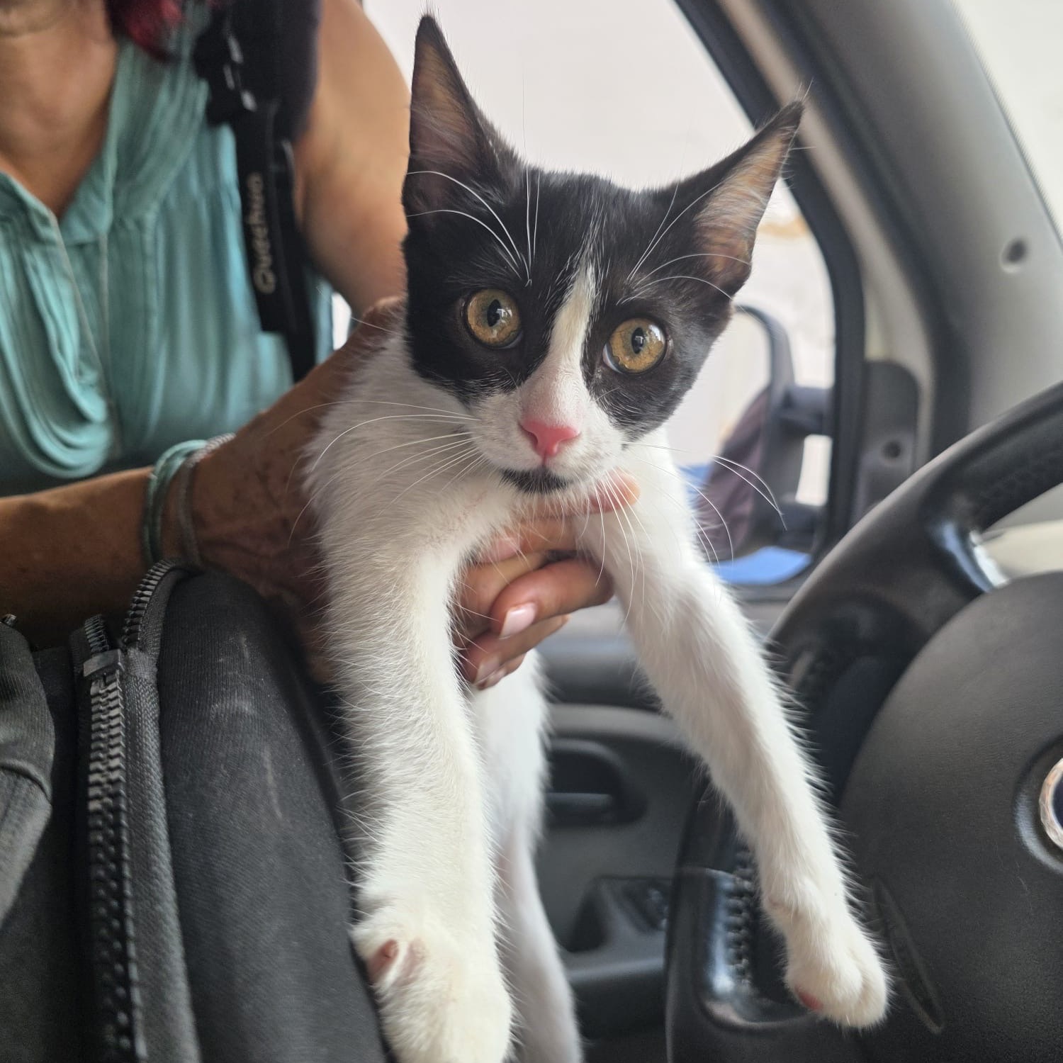 Kati