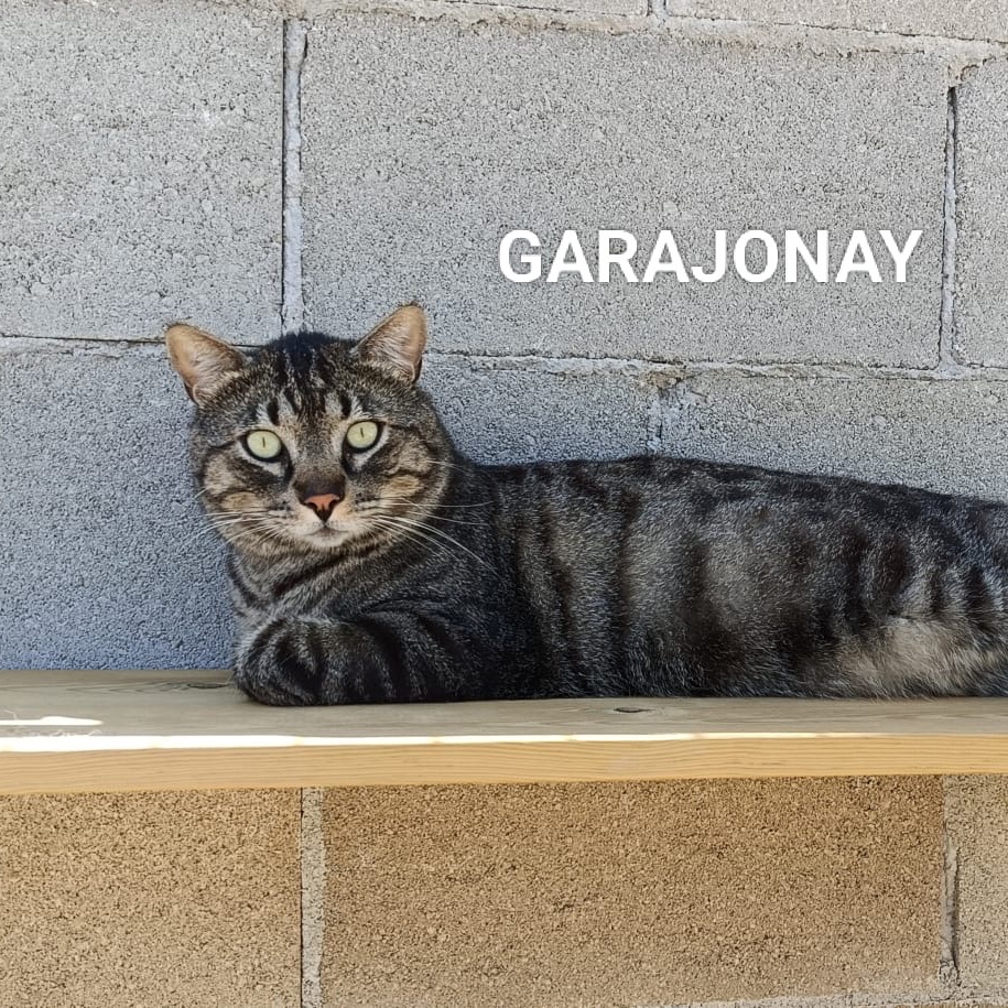 Garajonay