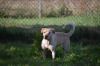 Aslan - reservat