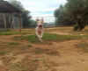 Andor