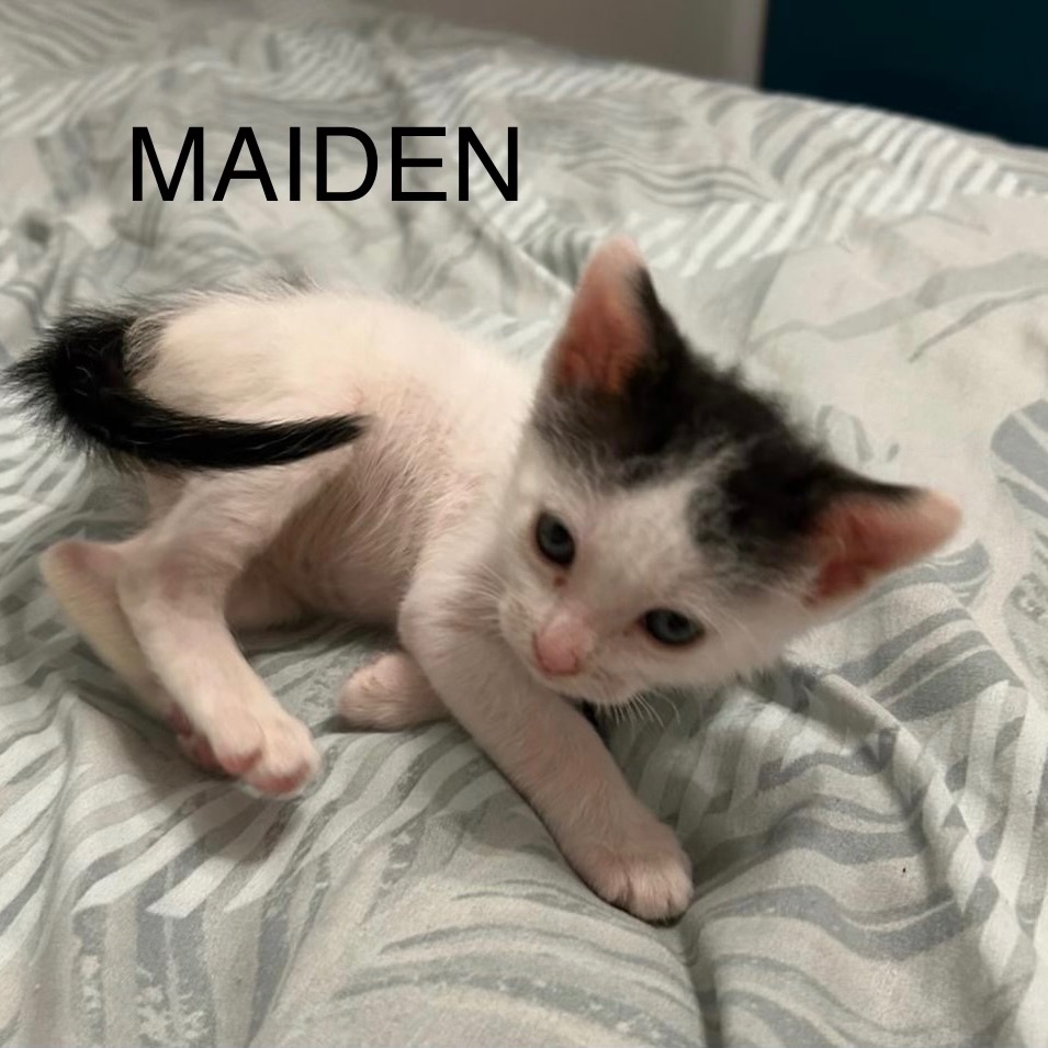 Maiden