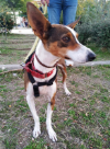 Lola