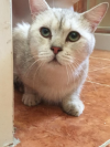 Boris