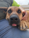 Kona