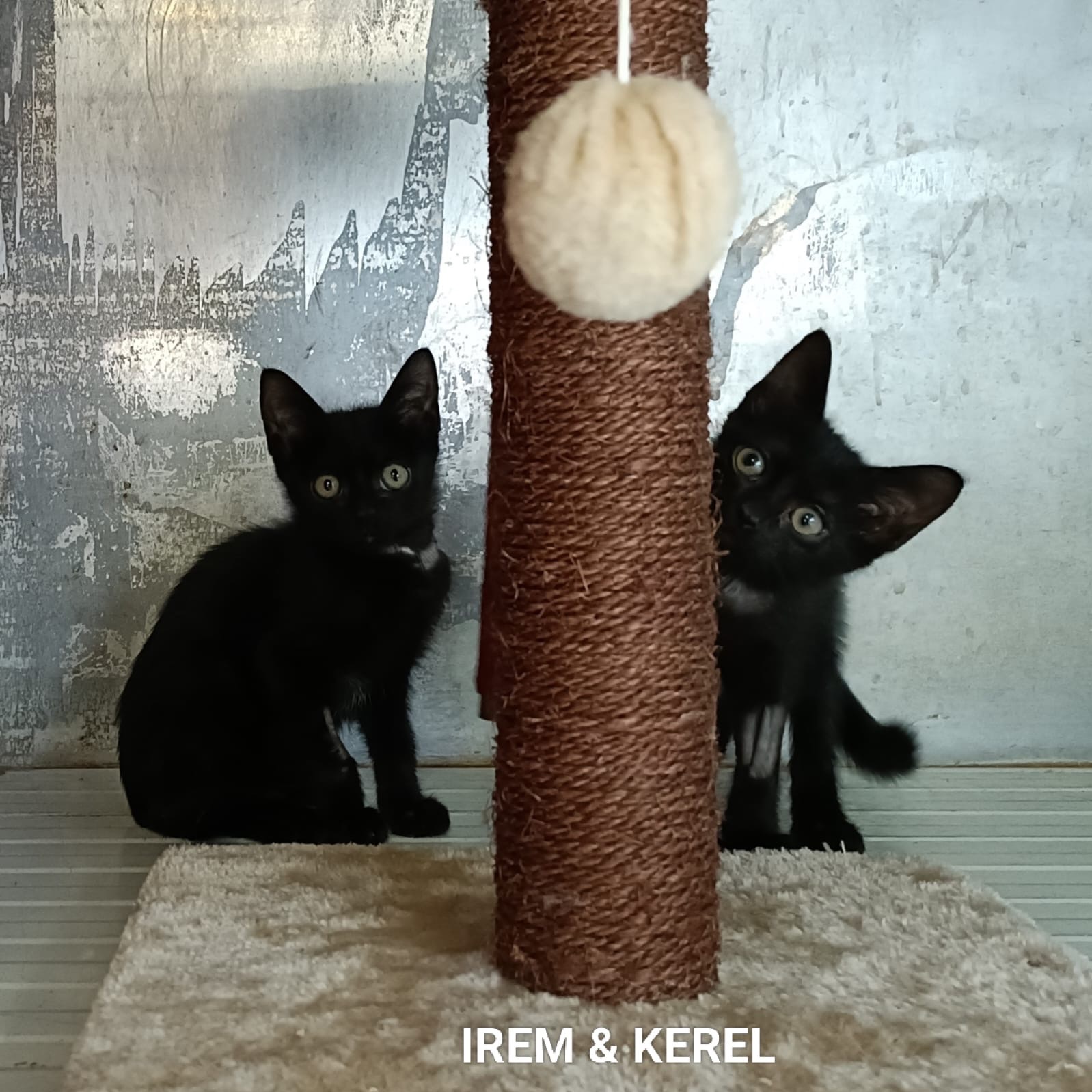 Irem