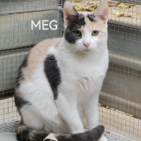 Meg