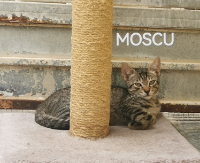 Moscu