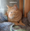 Monchito