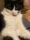 HÉCTOR