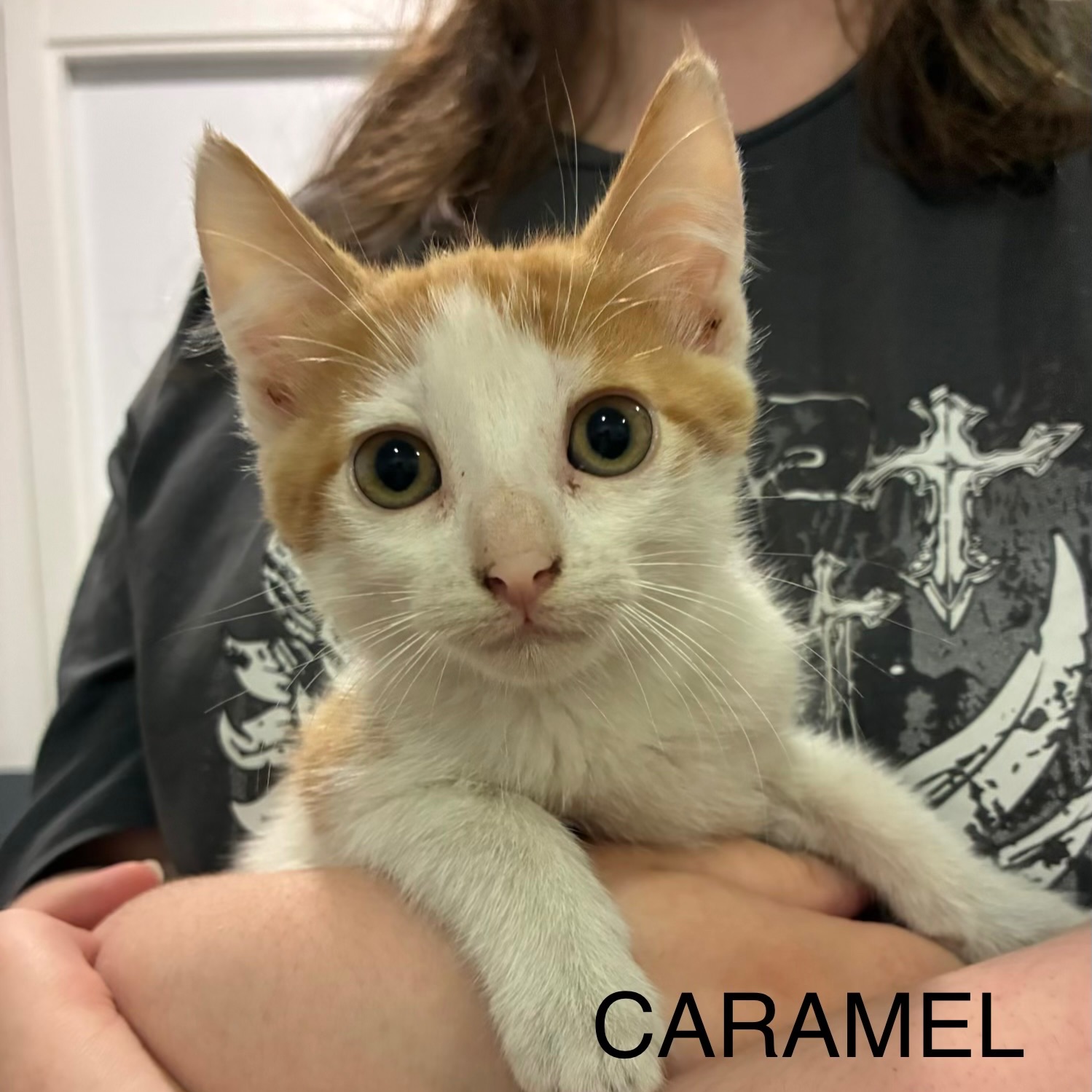 Caramel