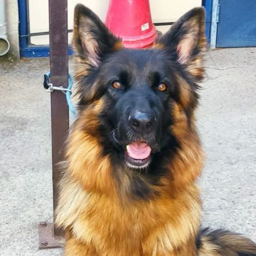 COCO