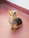 LLUNA