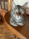 DEIA