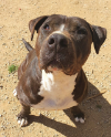 Tyson