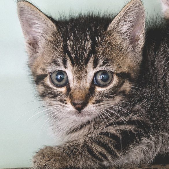 REMY