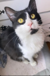 HÉCTOR