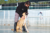 FIGARO ARA CLOONEY
