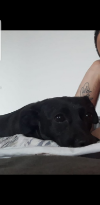 Nika