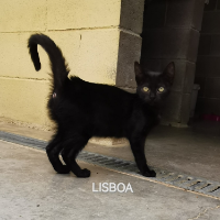 Lisboa 