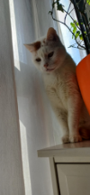 MÁRQUEZ