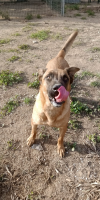 Cherokee (Chester)