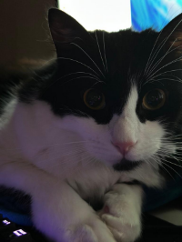 HÉCTOR